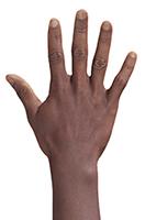 Retopologized 3D Hand scan Juvante Henderson Black male